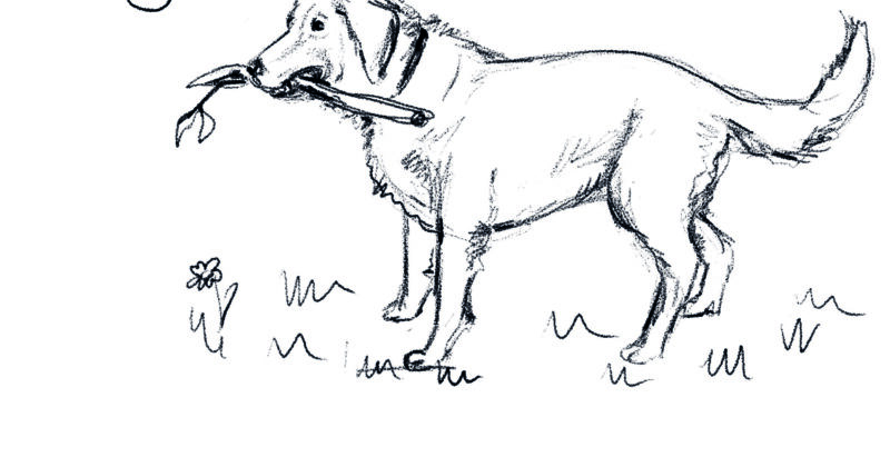 Geschichte des Monats – Juli: Das Hundetagebuch